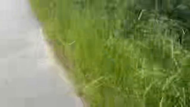 Гуляем с картой (и теряемся) 😅