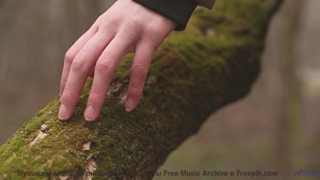 Мелодия, которая делает остановку у придорожного кафе незабываемой - Hot Sand -- Independent Music L