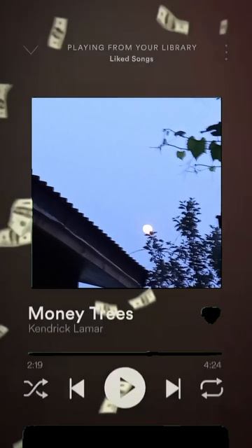 1000006637.mp4