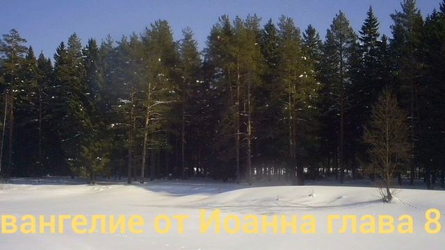 Библия Евангелие от Иоанна глава 8