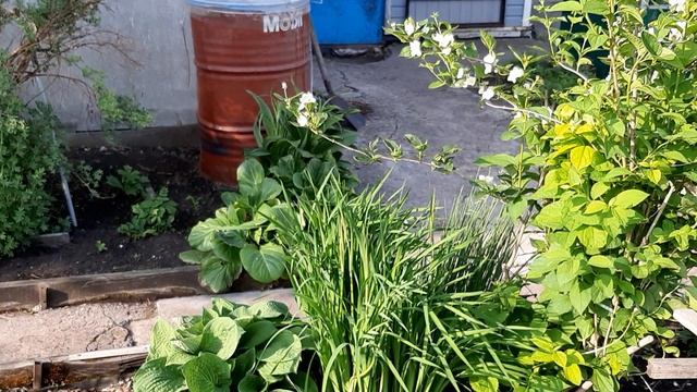 20250615_072732.mp4
