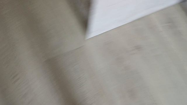 1000006113.mp4