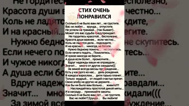 2025-03-09-180643672.mp4