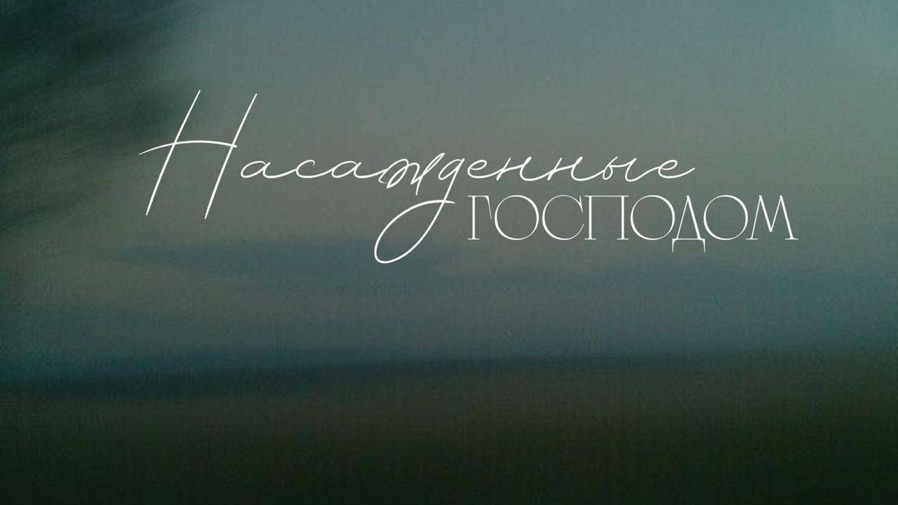 15.06.2025 Владивосток "НАСАЖДЕННЫЕ ГОСПОДОМ" - Александр Серебренников