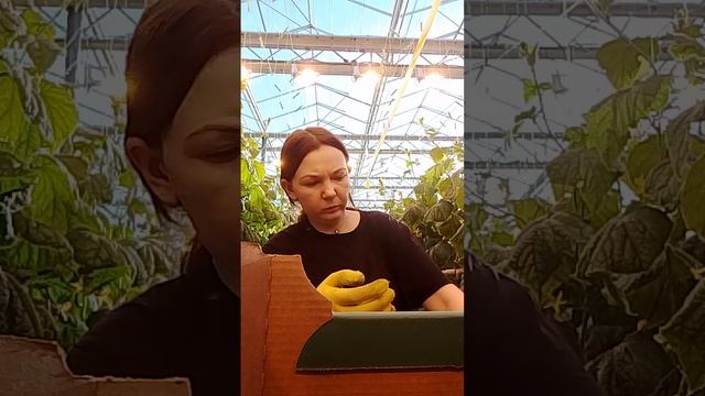 Моя работа 😌