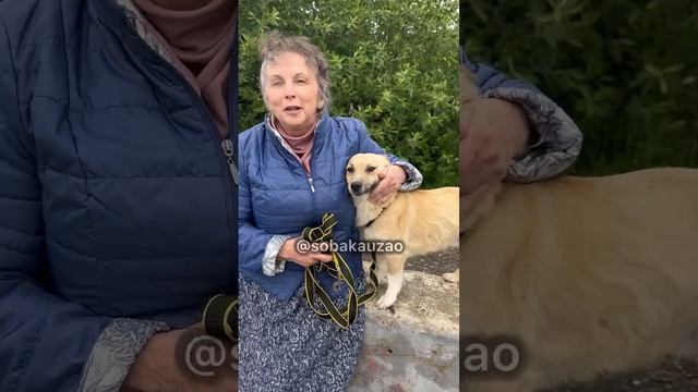 Чакки из приюта Щербинка уехал домой