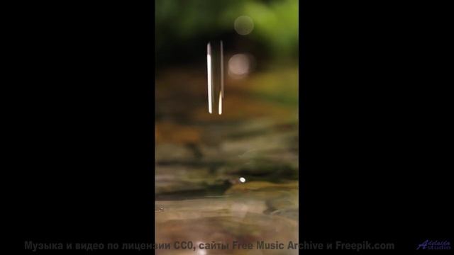 Леса становятся ближе с каждым новым аккордом - Wasted Too Long -- Jeremy Allingham -- Run Wild