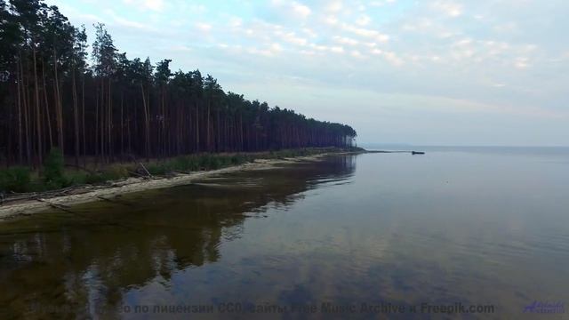 Эта музыка звучит особенно, когда её слушаешь, глядя в одни глаза - Pews -- NADINE -- Live at WFMU f