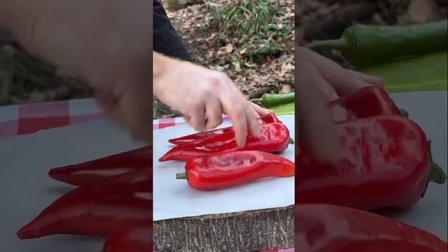 🔥🌲 Сосиска на УГЛЯХ в дикой природе