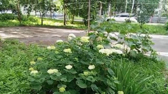 1000008564.mp4