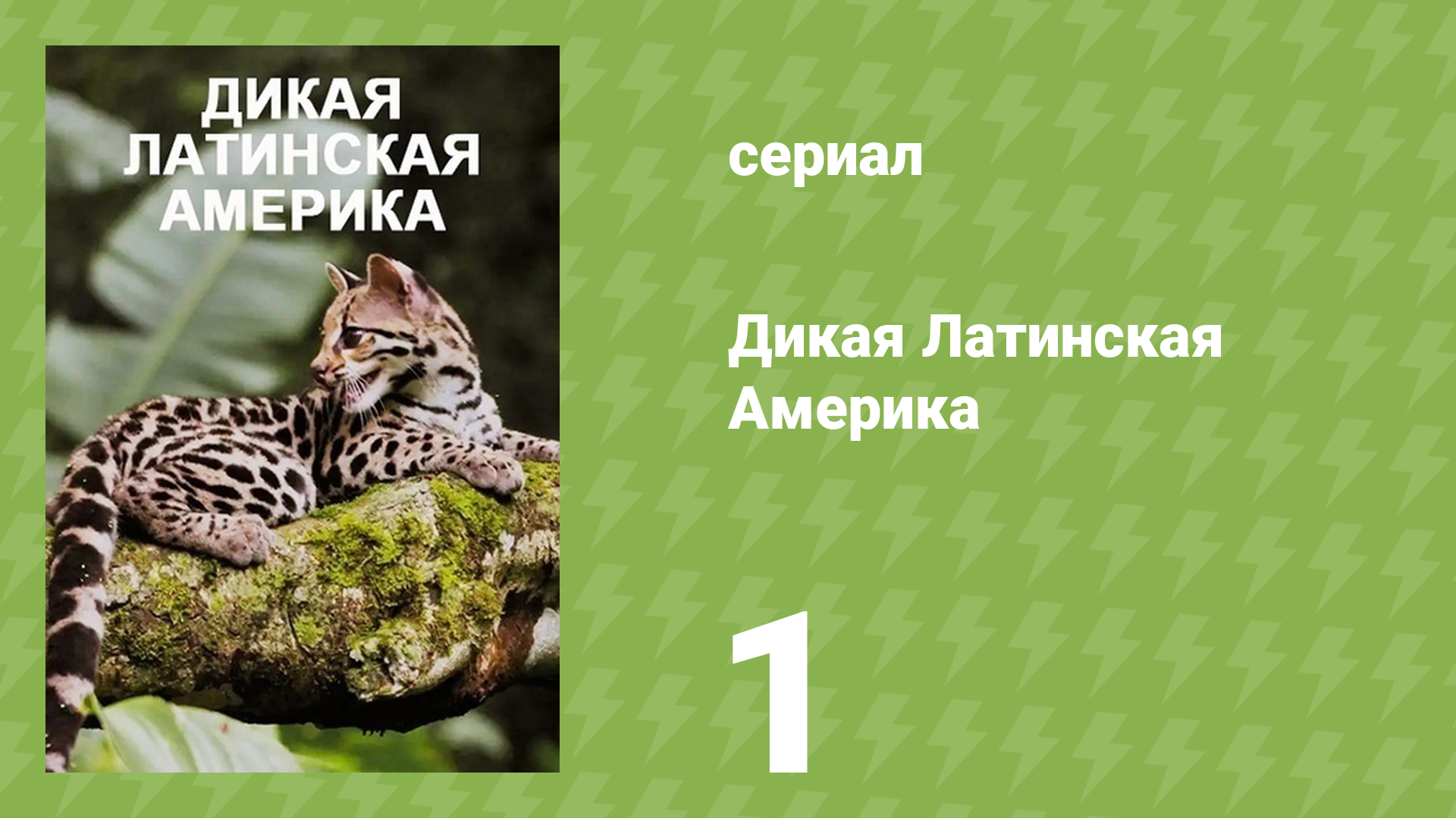 Дикая Латинская Америка 1 серия «Патагония» (документальный сериал, 2020)
