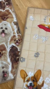 Все самое лучшее для наших чихуашек ❤️