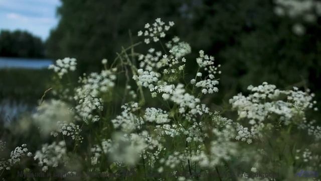 Ты НЕ ГОТОВ к такому звуку! - Bad Nostalgia (Instrumental) -- Anthem of Rain -- Freedom