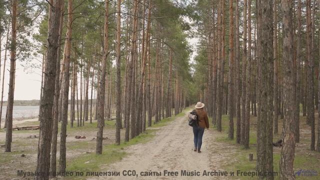 Музыка для цифрового бессмертия - готовы ли вы загрузить своё сознание - Hipster Girls -- The Spin W