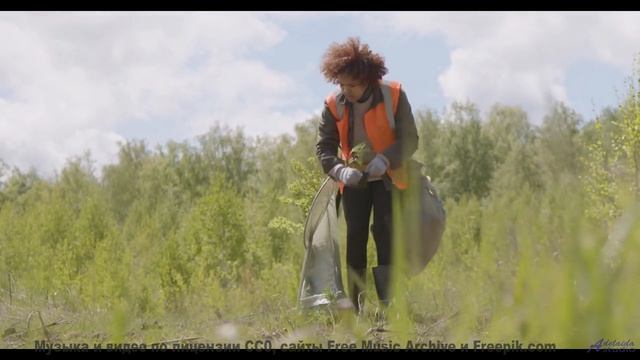 Мелодия, делающая даже дождь за окном машины романтичным - Deep-Mists -- Ketsa -- Summer With Sound