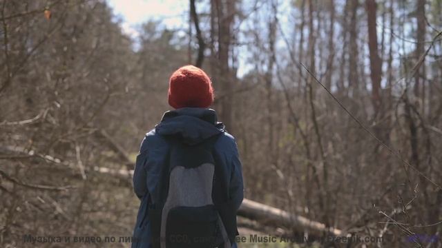 Эта музыка заставит вас влюбиться - проверьте сами! - Mouse On Mars -- Podington Bear -- Homage From