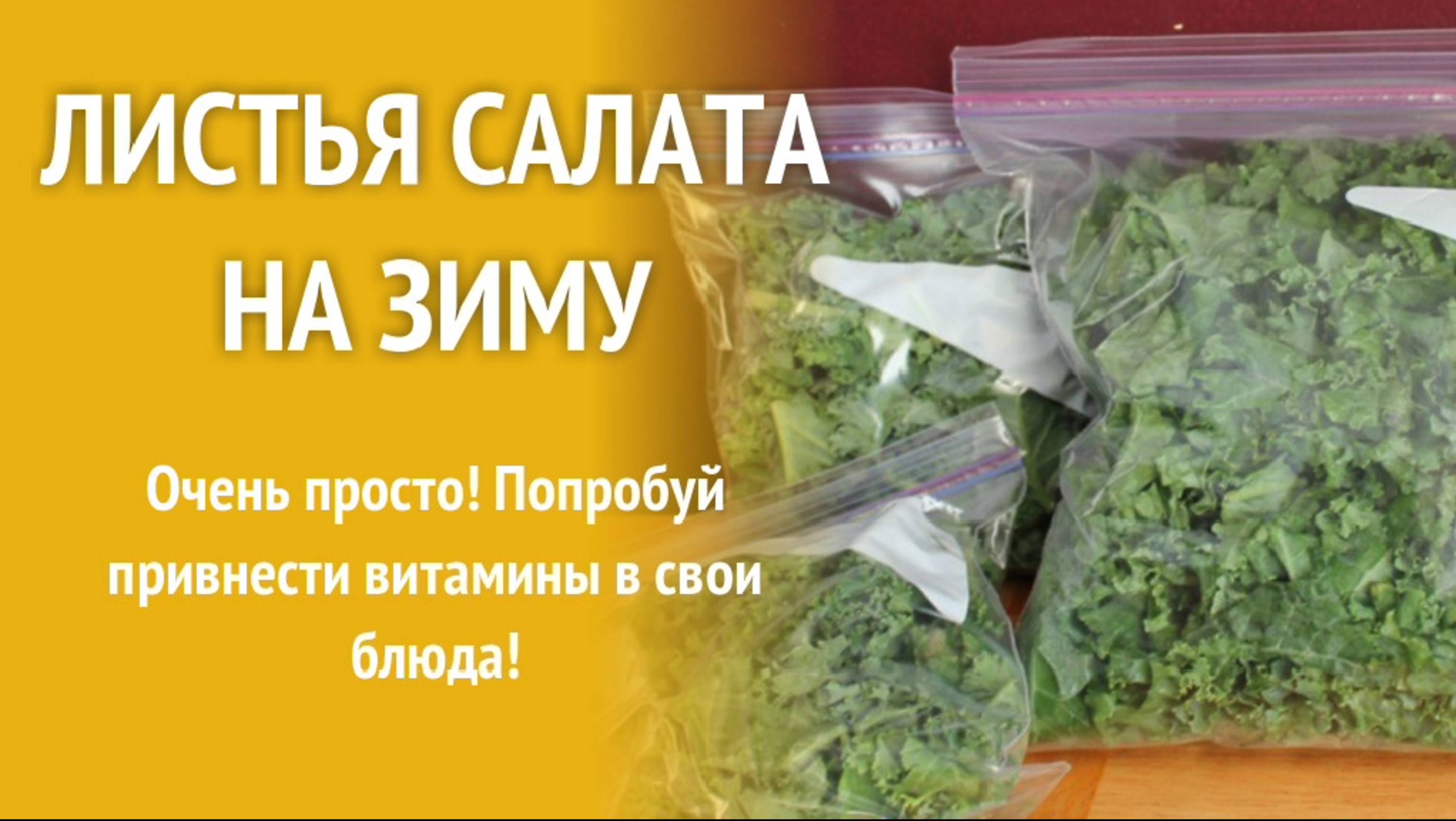 Заготовка зеленого салата в зиму. Заморозка листьев салата.