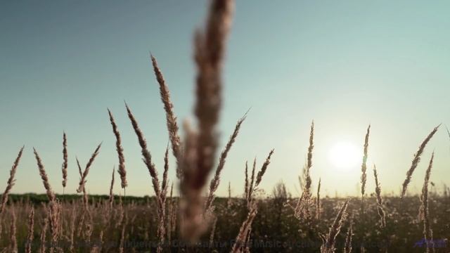 Звуки, материализующие мысли - где граница между наукой и магией - Conquest -- Ihsan + The Cabinet o