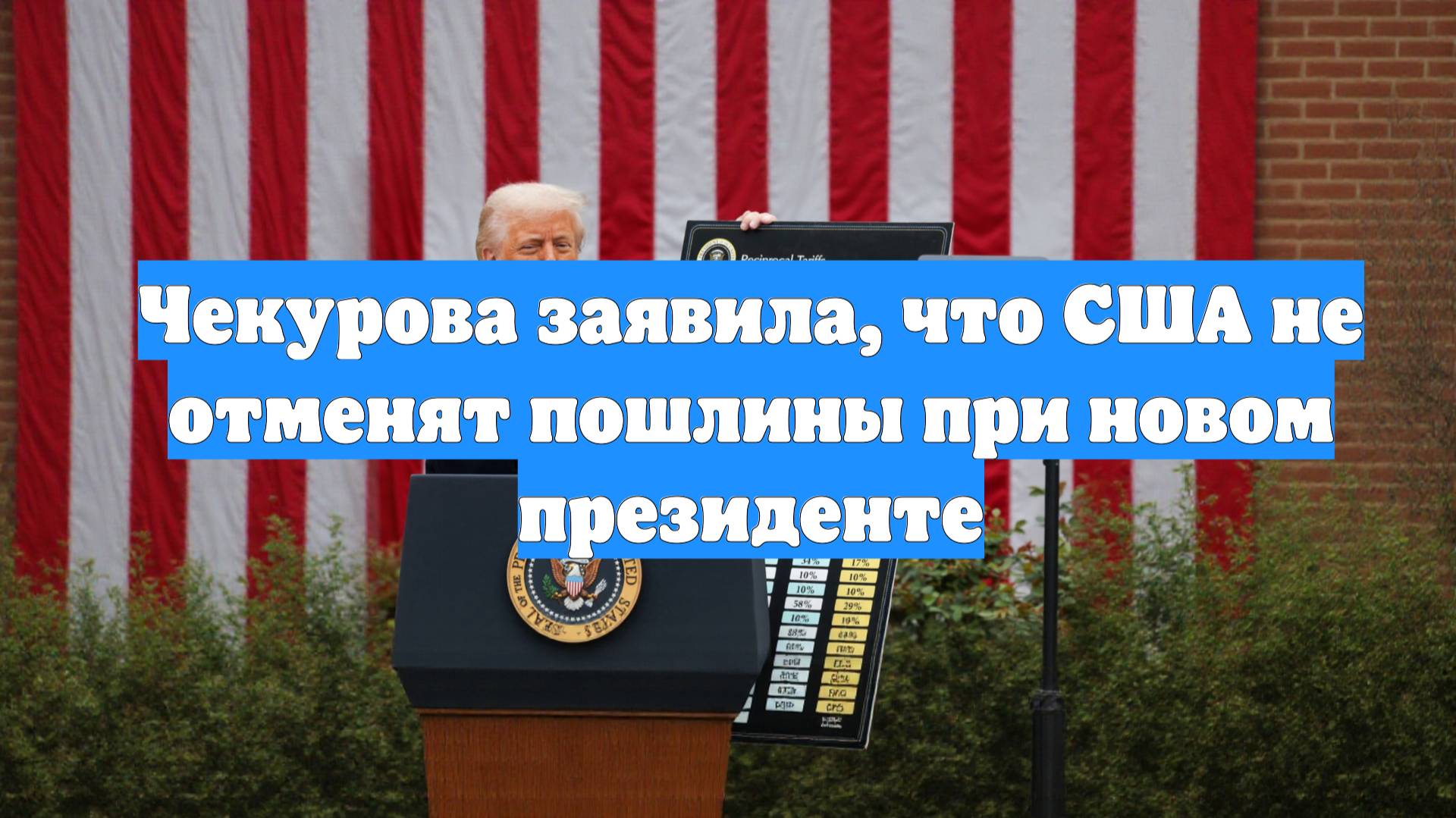Чекурова заявила, что США не отменят пошлины при новом президенте