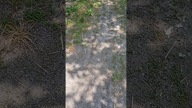 1000025536.mp4лршзржи