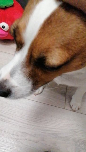 VID_20250615_220929.mp4