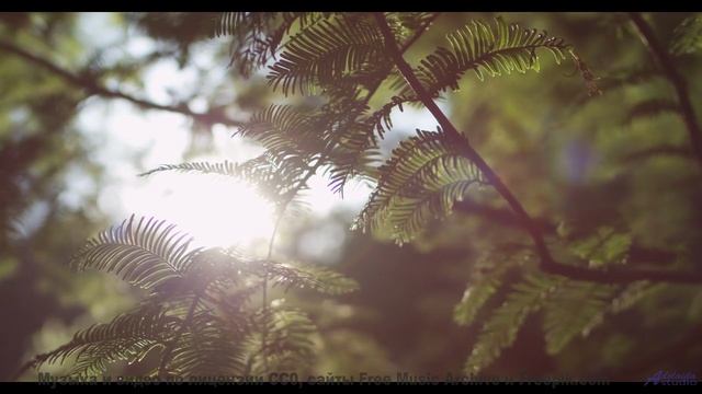 Музыка, которая звучит как ночь, полная страсти... - In-Check -- Ketsa -- Collective Consciousness