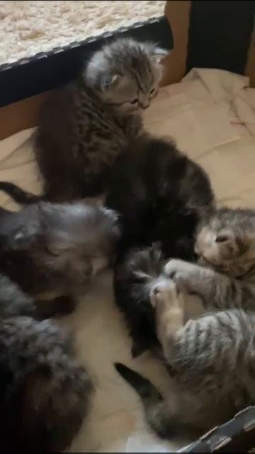 1000019538.mp4