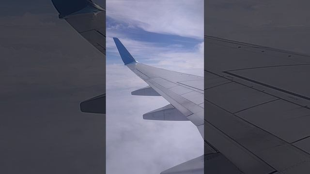 1000074796.mp4