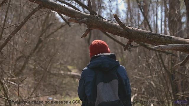 Песня, от которой по коже бегут мурашки страсти! - Passing Between Dimensions -- Kirk Osamayo -- Sea