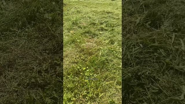 Вот это я понимаю сила TikTok 👍🤩💯