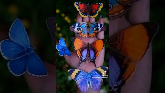 VID-20250613-WA0417