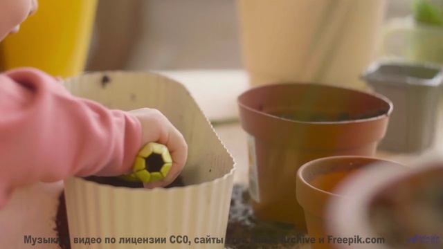 Поля расцветают, когда звучит такая сильная музыка - Lap Children -- Ranch House -- The Ranch House