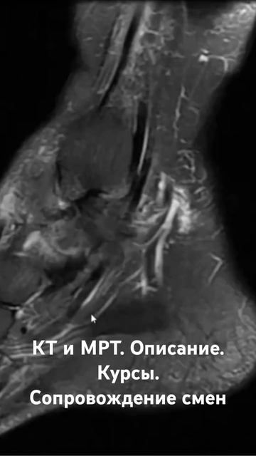 10 апреля 2025 г.