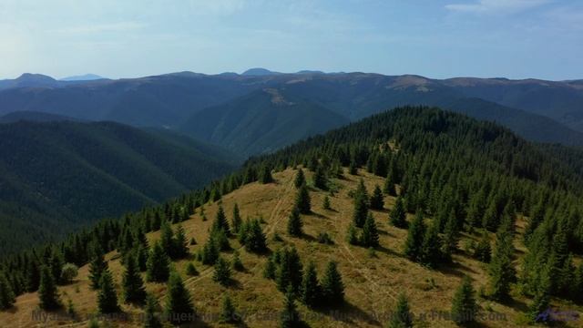 Звуковая магия этих водопадов! - Rain Forest Dreams (ID 1276) -- Lobo Loco -- Around