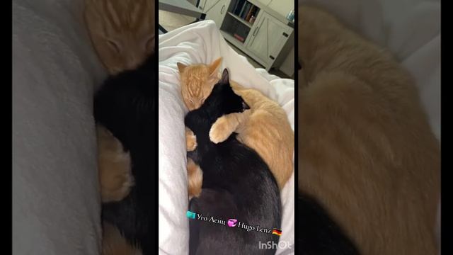 VID_20250615_200411_427.mp4