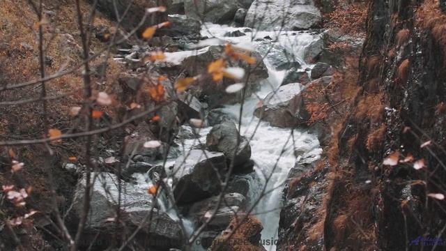 Пейзажи и ритмы вместе дарят личный восторг - Fight For You ( I Shouldnt Have To) -- Tadz -- 2020
