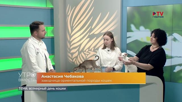 TV Губерния программа «Утро вместе»