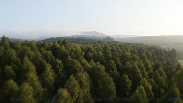 Эти пейзажи и музыка выносят мозг моментально - Cant Wait -- Independent Music Licensing Collective
