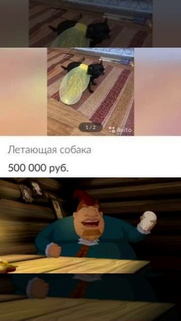 летающая собака