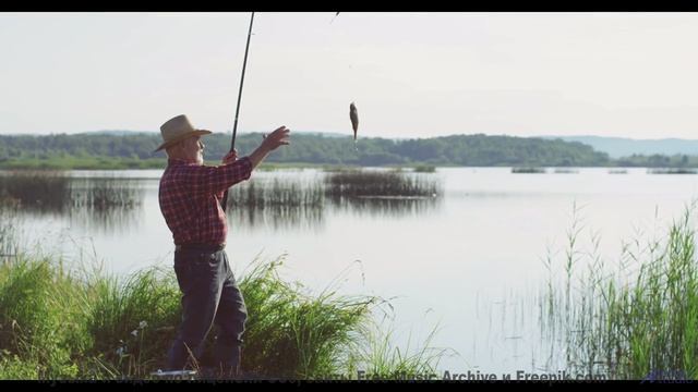 Остановитесь и услышьте это! - Why Me -- Omura -- The Whales Bay