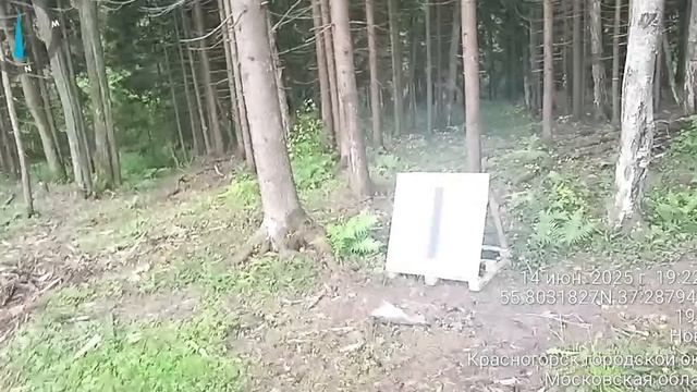 Уничтожение Опалиховского лесопарка г. Красногорск