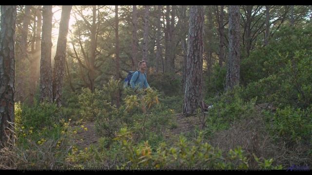 Музыка открывает мир заново на фоне этих красот - Mushrooms -- Ketsa -- The Calling