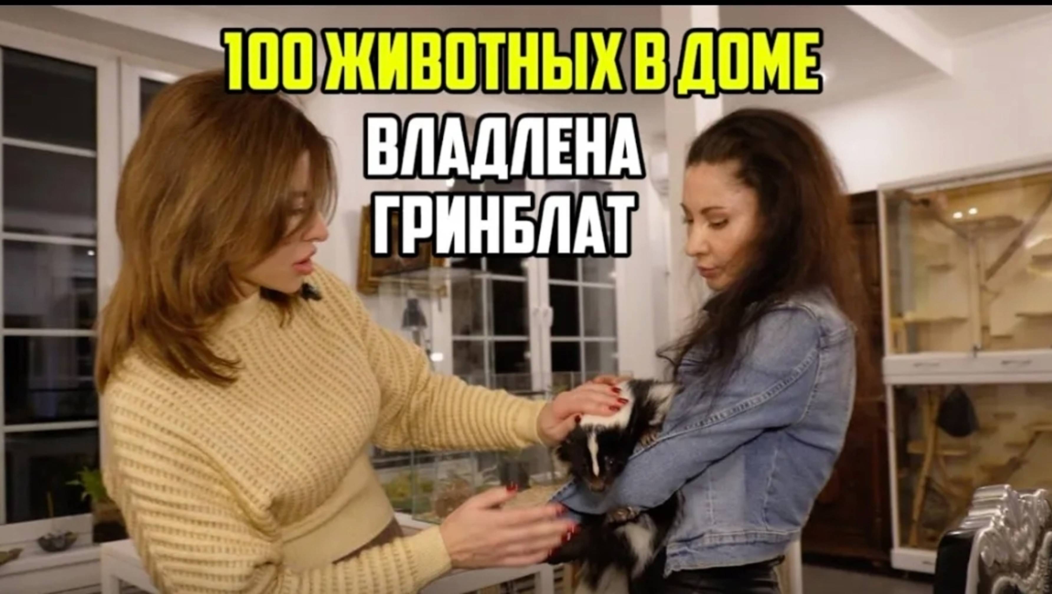 Домашний зоопарк Владлены Гринблат. 100 животных в доме
