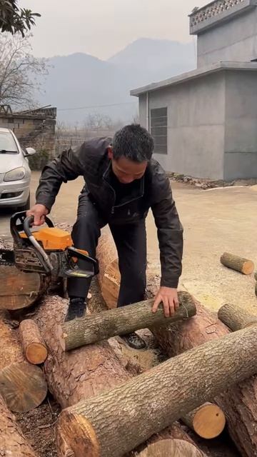 Cutting logs to make firewood #shorts