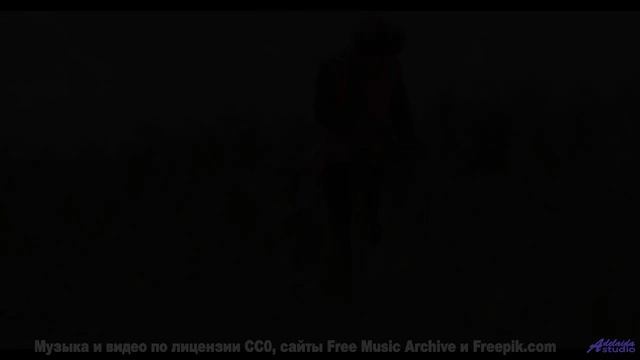 Природа оживает под эту сенсацию звука - Street Dancing -- Timecrawler 82 -- Osaka Lights