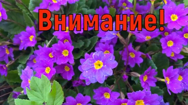 16 июня День Лукьяна. Петров Пост. Что нельзя делать 16 июня. Народные приметы и традиции и суеверия