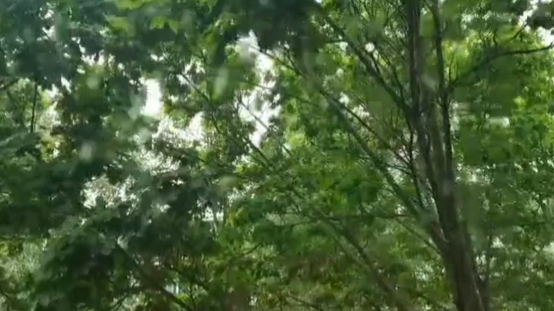 НАВЕЯЛО ** СВЕРХГРУСТНОЕ СТИХОТВОРЕНИЕ 🎶