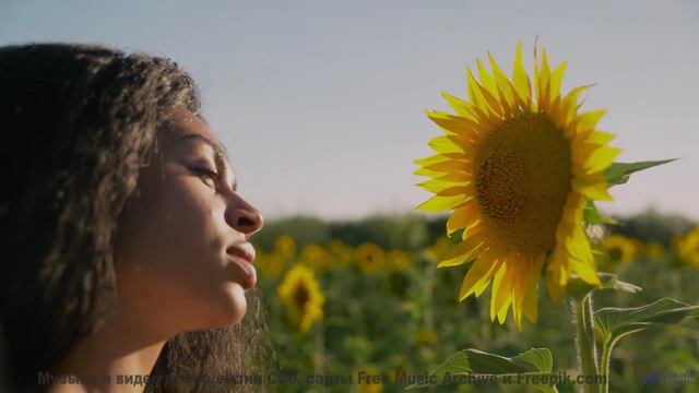 Этот клип уничтожит стресс и вернёт вкус к жизни - Earth and Sun -- Derek Clegg -- The Best Of Numbe