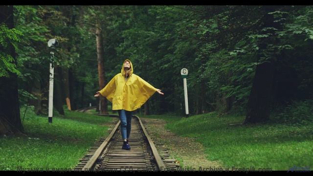 Глаза цепляются за кадры, уши ловят каждый аккорд - Mushrooms -- HoliznaCC0 -- Chill Out