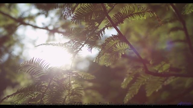 Эти пейзажи и музыка вытряхнут душу начисто - Surrendered -- Ketsa -- Growth